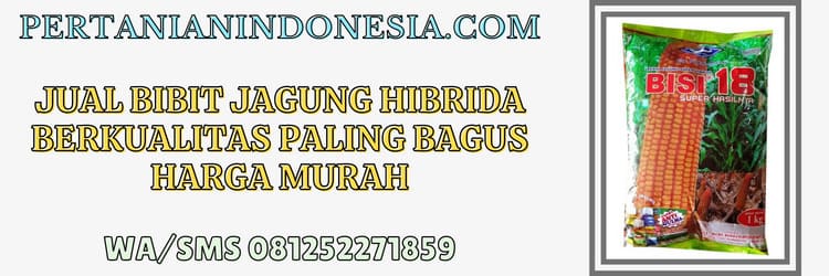 jual,murah,pertanian indonesia,jual bibit jagung hibrida,jual bibit jagung hibrida yang paling bagus
